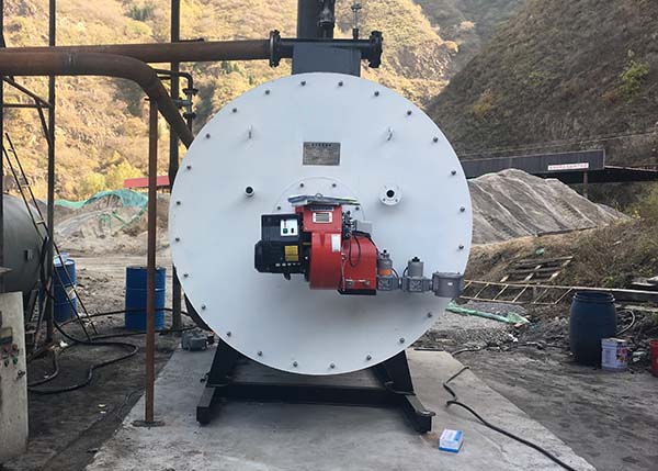 廣東希普生物科技60萬大卡導熱油鍋爐